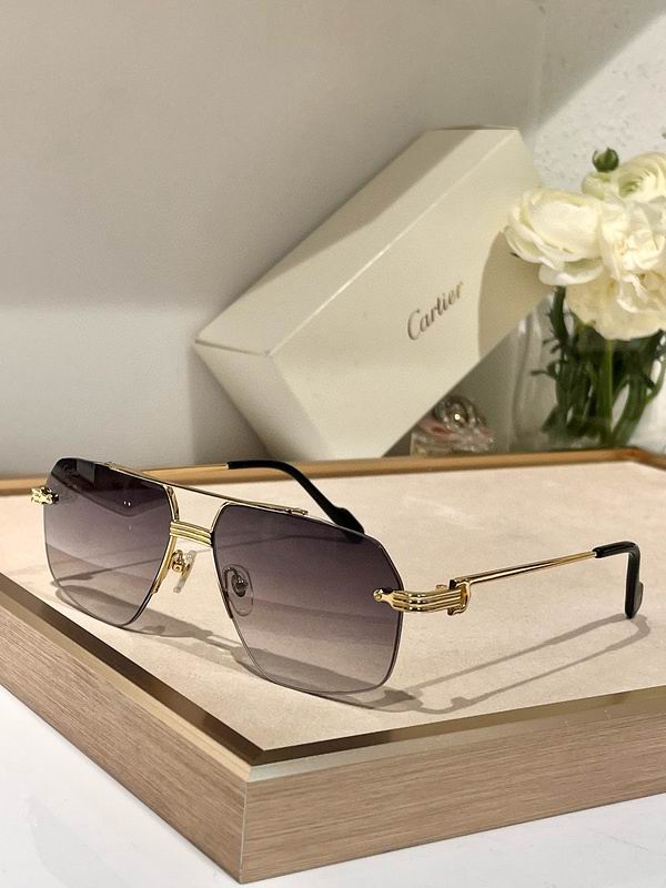 Cartier Glasses smx (597)